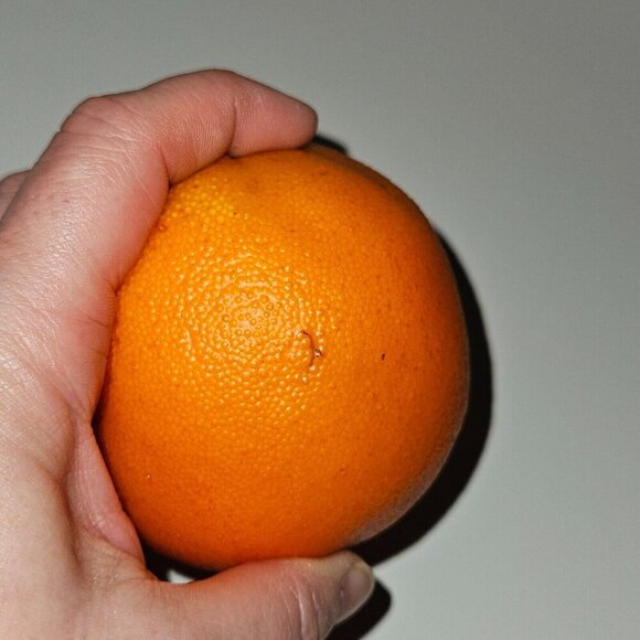 4 Pieces Fake Faux Decorative Fruit Lot Oranges Pears Realistic Life Size - Picture 14 of 15